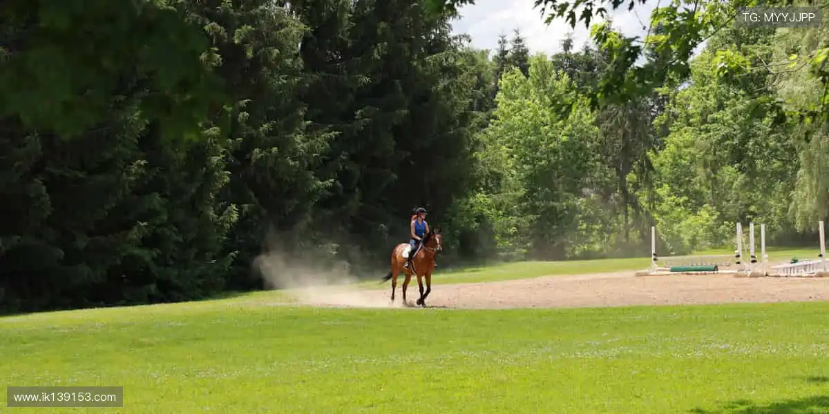 🌟突破极限,每一步都在改写纪录!🏆